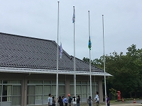 IMG_7387.jpg