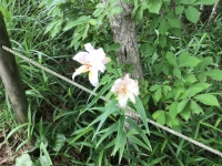 s-IMG_6915