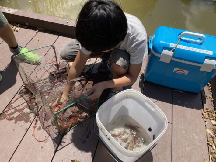 (イメージ)水辺の再生プロジェクト