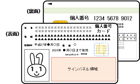 個人番号カード(マイナンバーカード)の表面および裏面のイメージイラスト