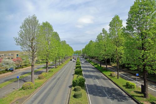 中央分離帯がある道路