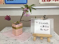 は