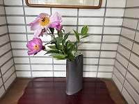 は