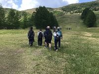 お