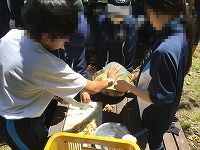 は