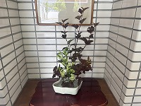 は