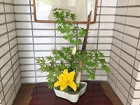 は