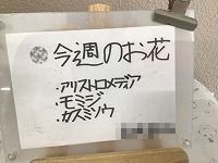 は