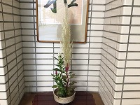 は