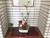 は