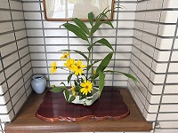 は