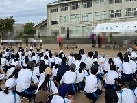 た