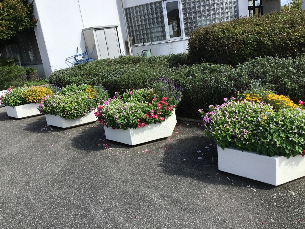 お花その2の3