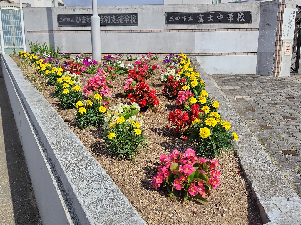 5月の花4