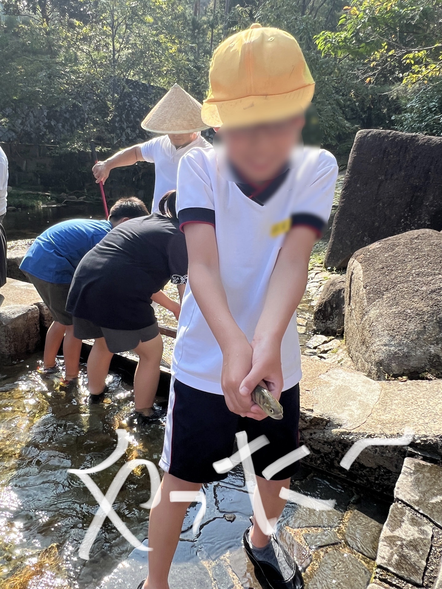 やっとこさ