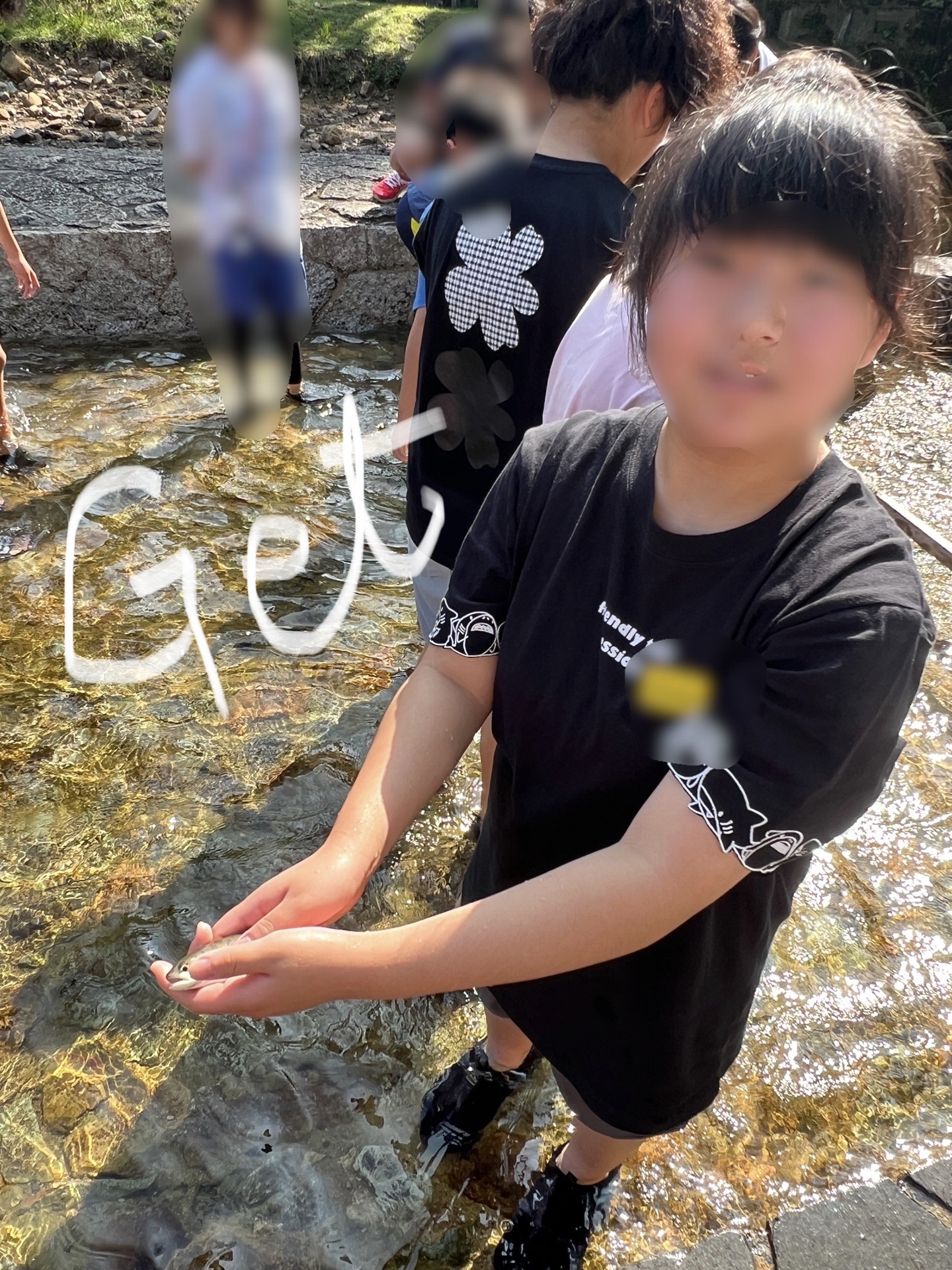 やったね