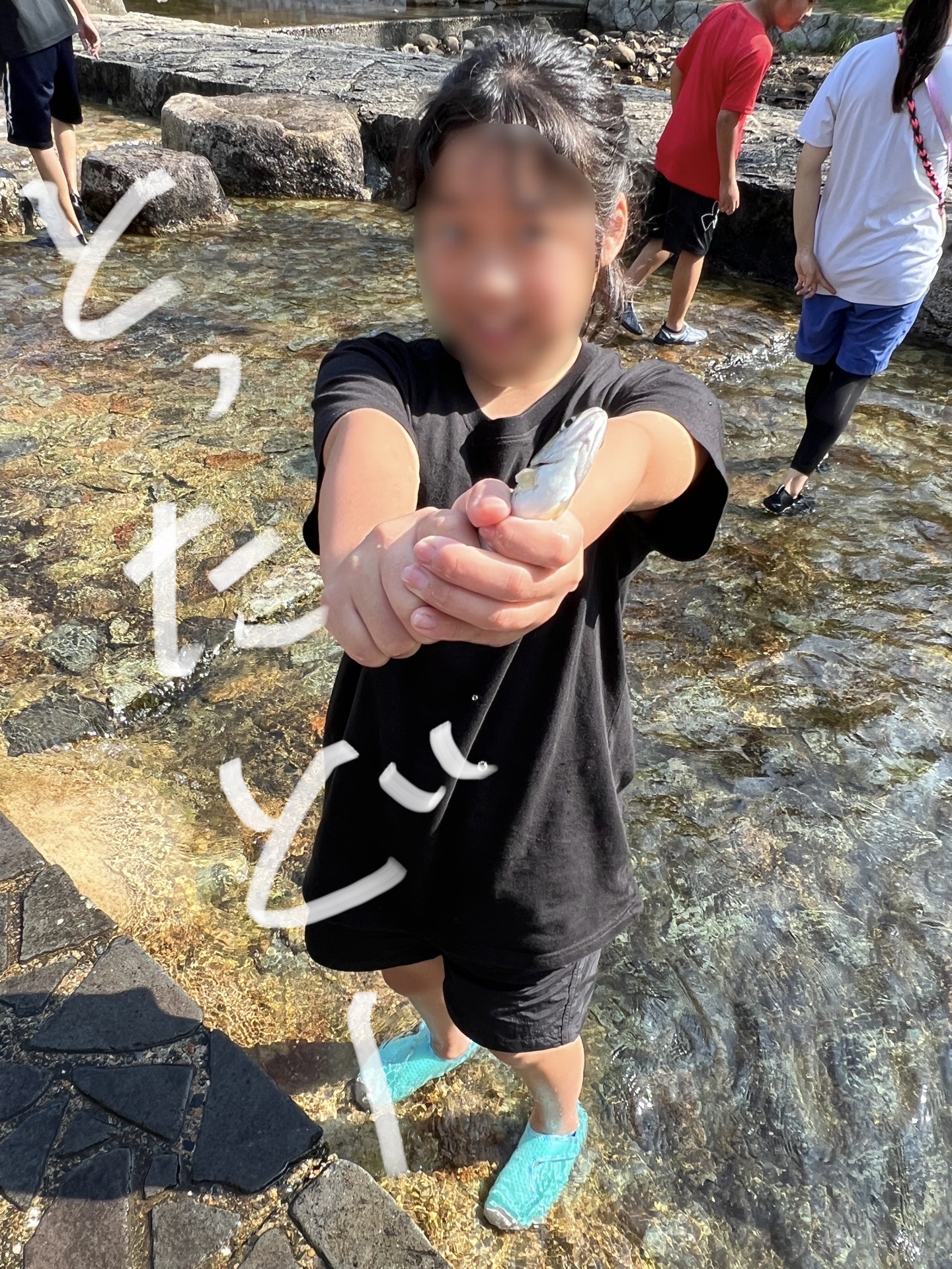 みて、みて、みてー