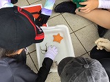 磯観察