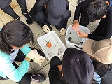 磯観察