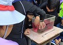 磯観察