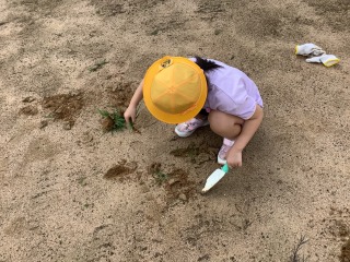 草引き