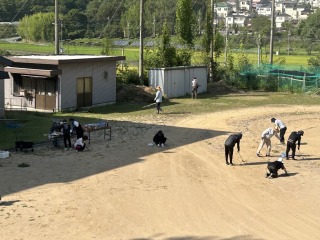美化作業