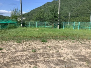 美化作業