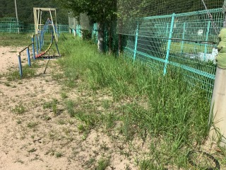 美化作業