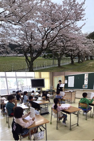 咲き揃った校庭の桜 教室の様子