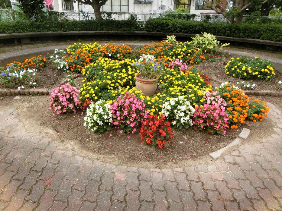 学校からのお知らせ