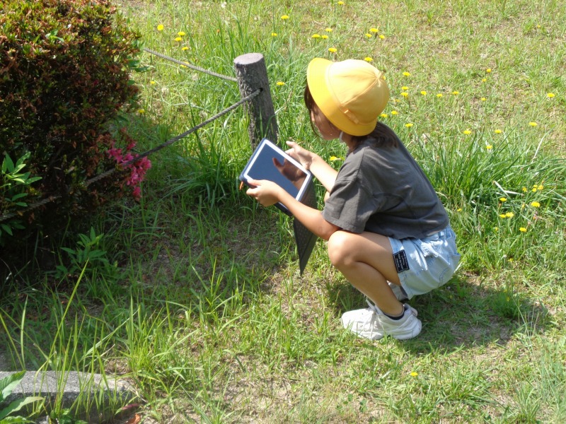 202506kouentankentsutsuji2nen