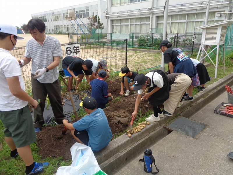 202506tsutsuji6nenrika