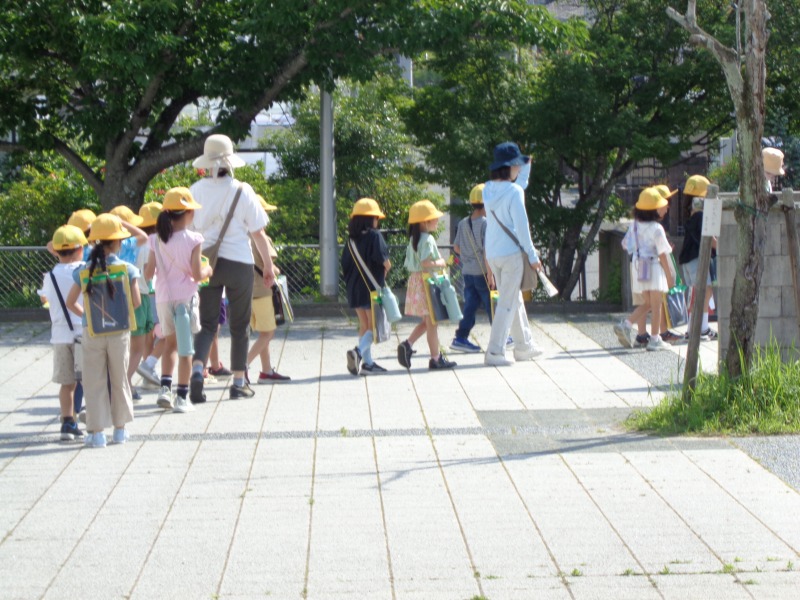 202506tsutsujiboranthiamachitanken