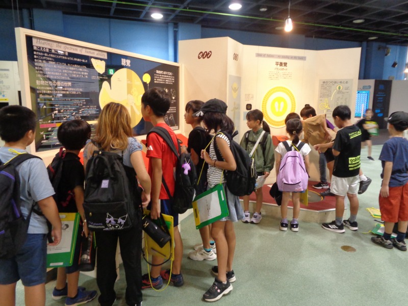 20250905tsutsujigaokasyou4nenkougaigakusyuu