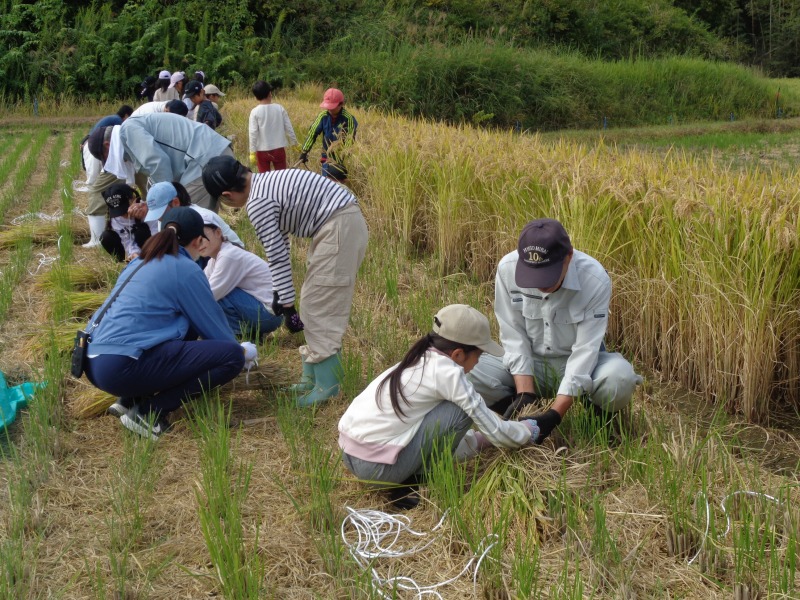 20250924tsutsuji3neninekaritaiken