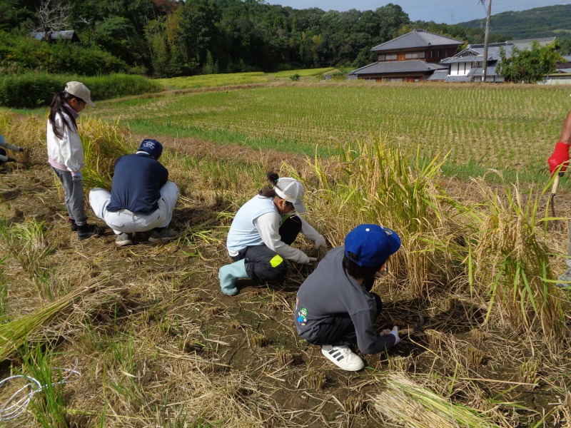 20250924tsutsujiinekaritaiken3nen3