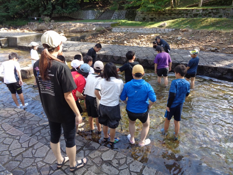 2025tsutsuji5nenayutsukami