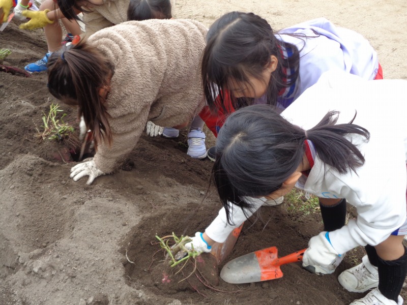 2025tsutsuji1nenimohoriseikatsu