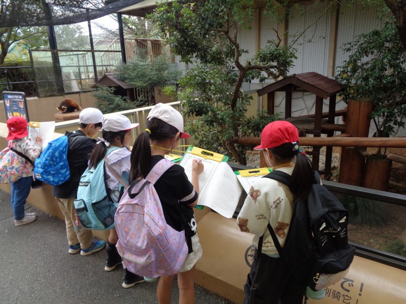 20251106tsutsuji1nensenntorarupaaku2