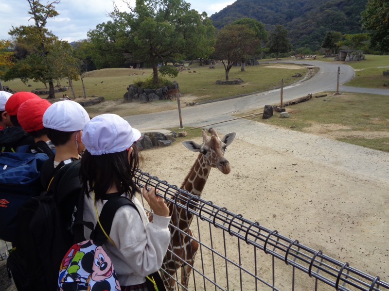 20251106tsutsuji1nennsenntorarupaaku3