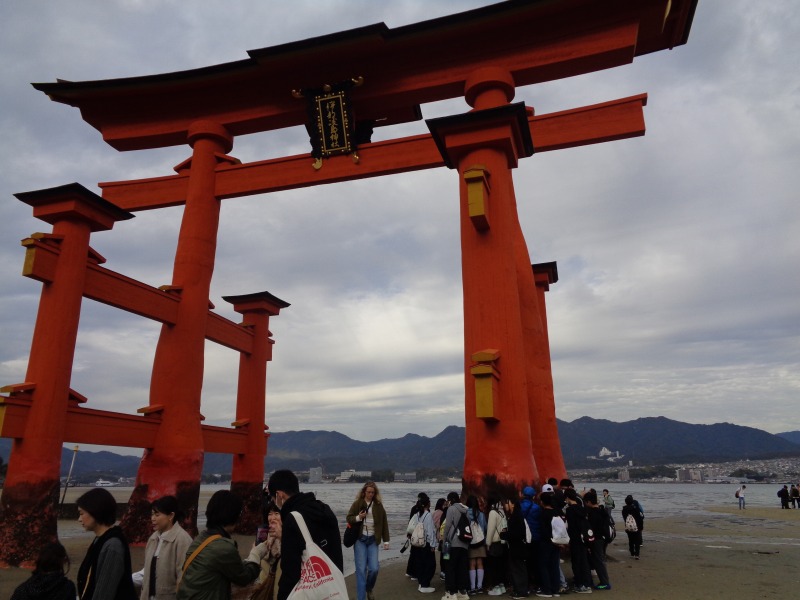 20251112tsutsuji6nenitsukusimajinnjya