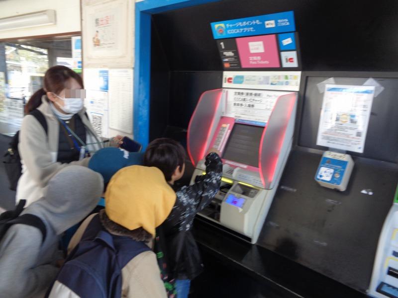 20251126tsutsuji3nendennsyataiken