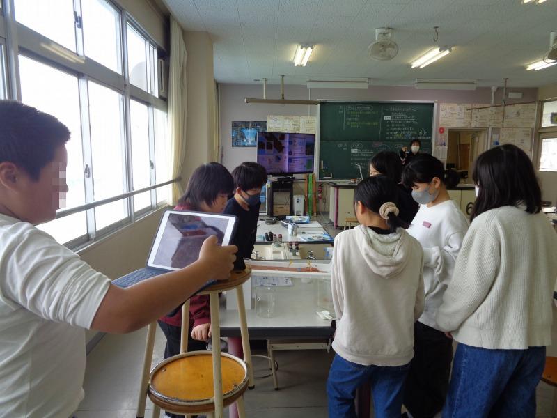 202511tsutsuji5nenrikajikkenncyuu