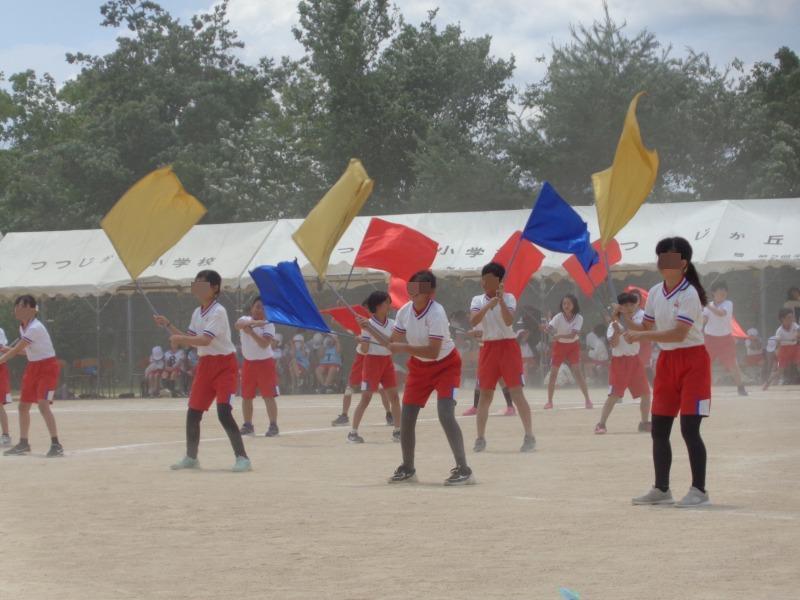 20250531tsutsuji56nenhyougennunndouginnga