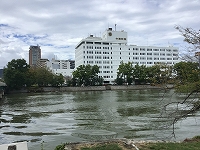 IMG_7752.jpg