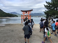 IMG_7997.jpg