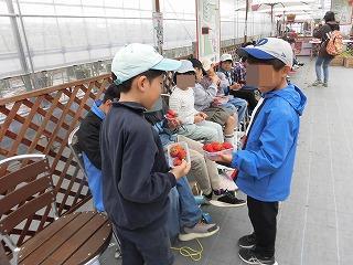 20260424gakuensyou3nenkannkyoutaiken4