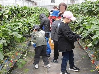 20260424gakuensyou3nenkannkyoutaiken2