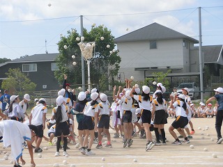 20260520gakuensyoutamairesirorensyu