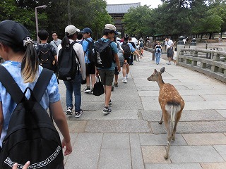 20260617gakuensyou6nentoudaiji1